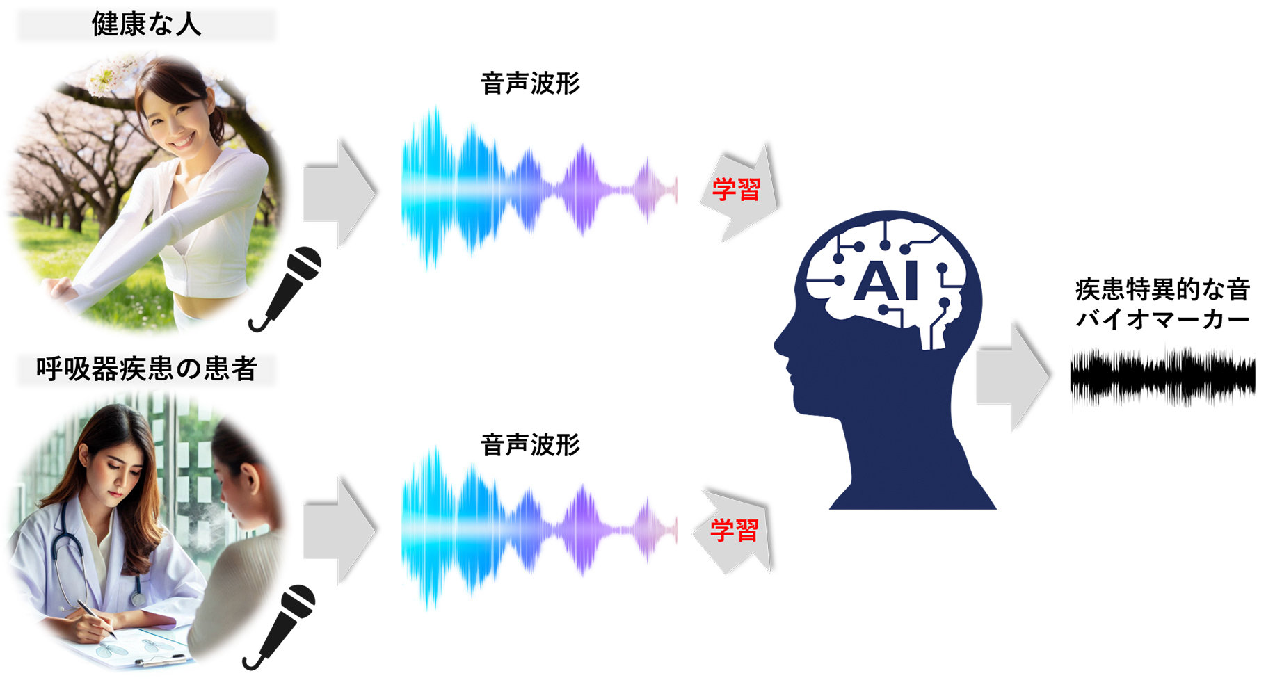 図1：音声解析AIモデルの作成イメージ