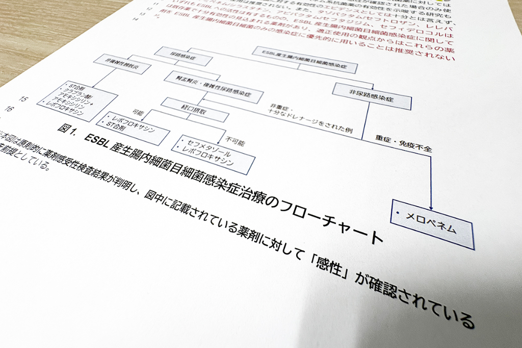 感染に係る薬剤投与関連 フローチャートで検査手順など明示 抗菌薬適正使用「手引き」を改訂へ