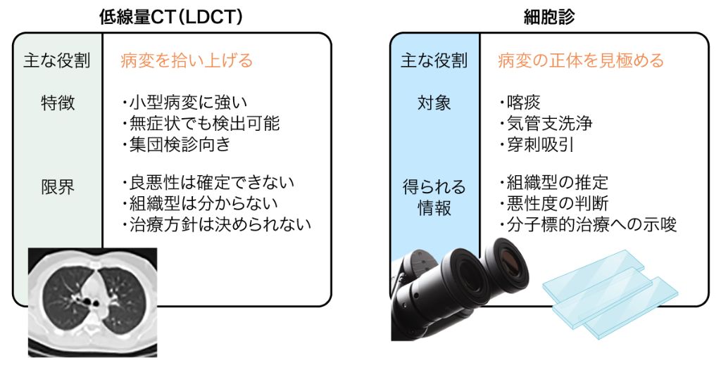 図2　低線量CT（LDCT）と細胞診の役割の違い