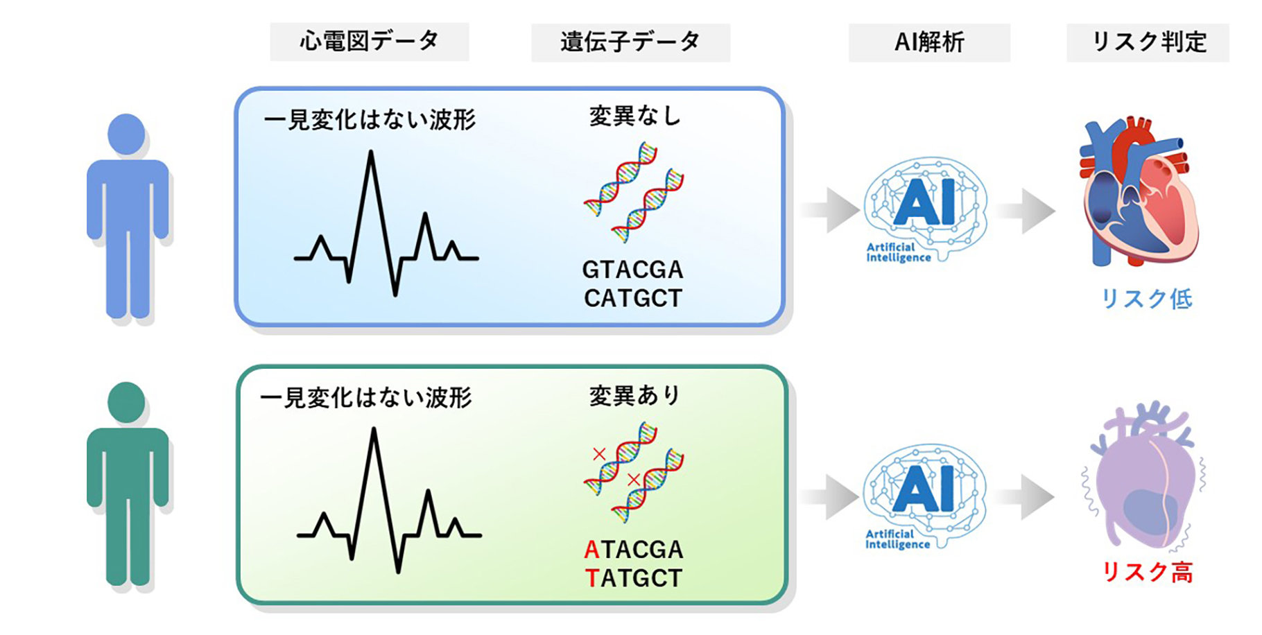 図2：心疾患リスク解析の将来イメージ