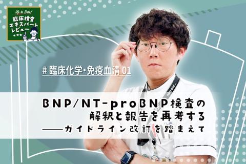 BNP/NT-proBNP検査の解釈と報告を再考する——ガイドライン改訂を踏まえて