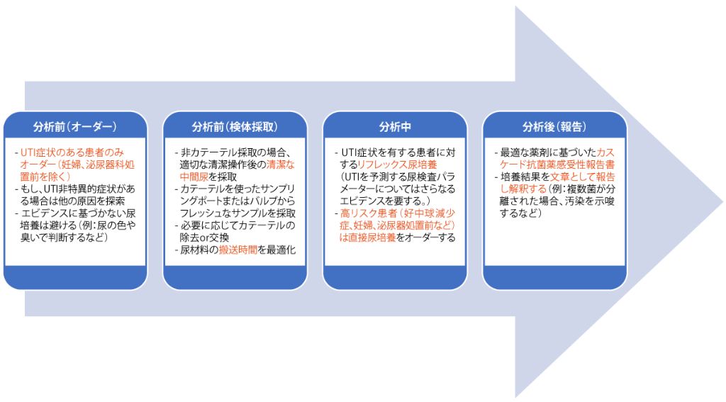 図 尿路感染症診断におけるDS戦略のポイント 〜reflexive（反射的）ではなく、reflective（熟考的）なアプローチの必要性〜
