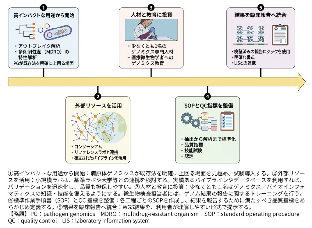 図2　臨床微生物検査室における病原体ゲノミクス実装のポイント 〔Gador-Whyte AP, et al : Clin Microbiol Rev, 39 : e0017725, 2026より〕