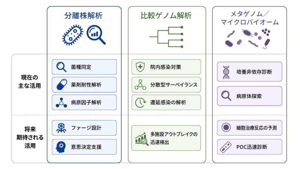 図1　臨床微生物検査領域における病原体ゲノミクスの活用例（筆者作成〕