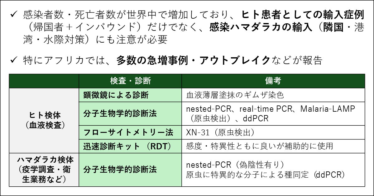 図　マラリアのまとめ 〔案浦健：感染症意見交換会（2026年8月31日）資料；マラリアの世界的動向と日本における水際対策（世界のマラリア流行状況／輸入症例と国内の媒介蚊など）より一部改変〕