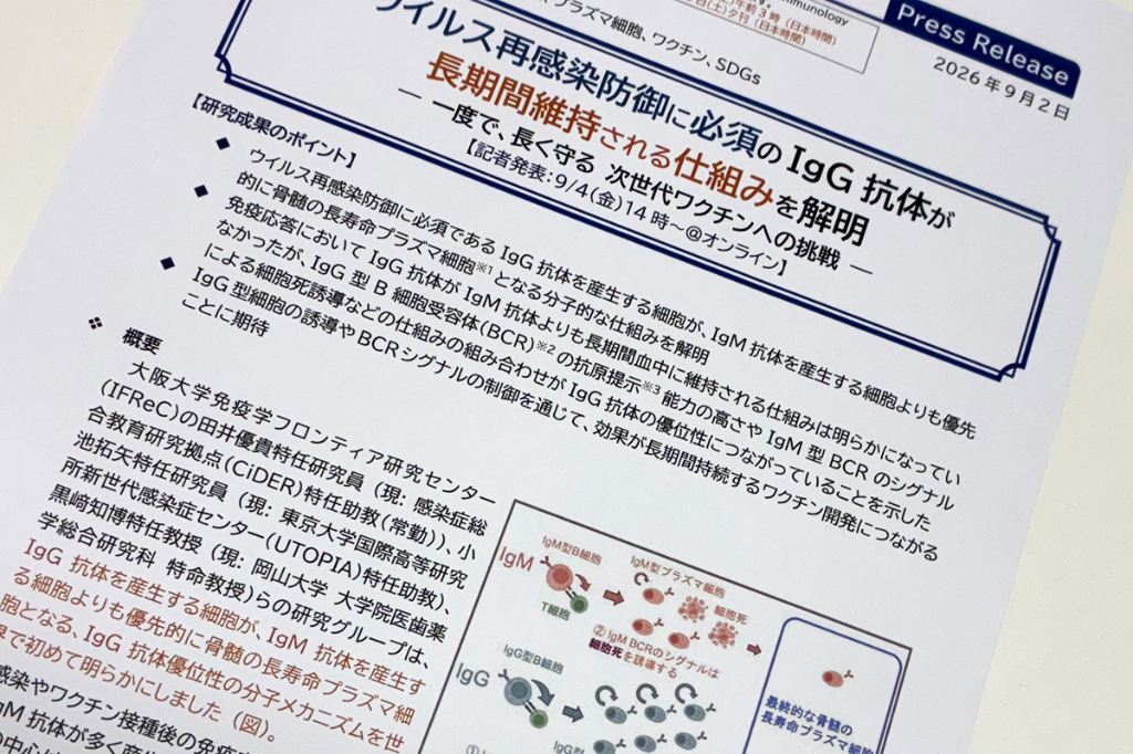 IgG抗体が長期間維持される仕組みを解明