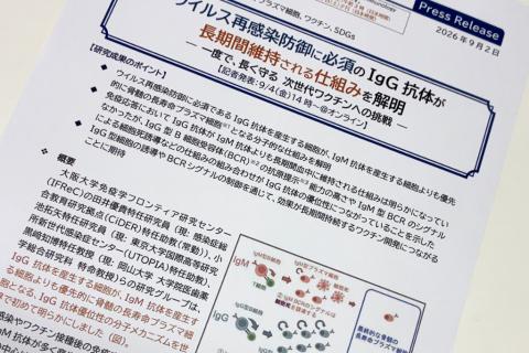 IgG抗体が長期間維持される仕組みを解明