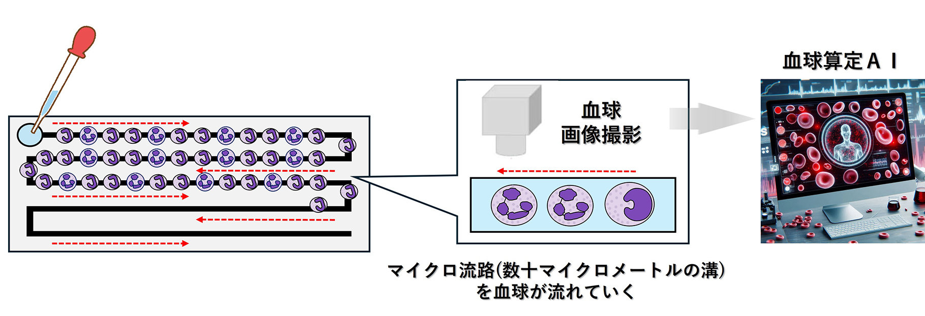 図2：マイクロ流路式血球スライドによる血球計数装置の概念図