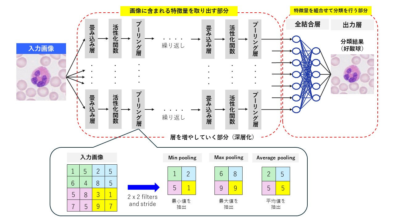図1：畳み込みニューラルネットワークの構造とフィルターの仕組み（筆者が作成）