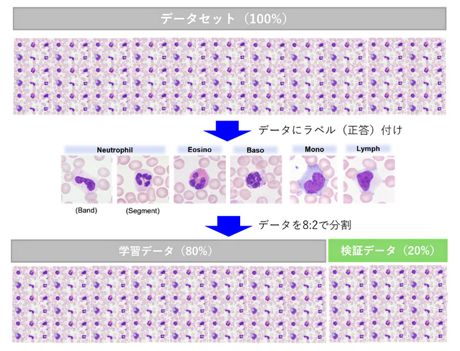 図1：データの準備方法（筆者が作成）