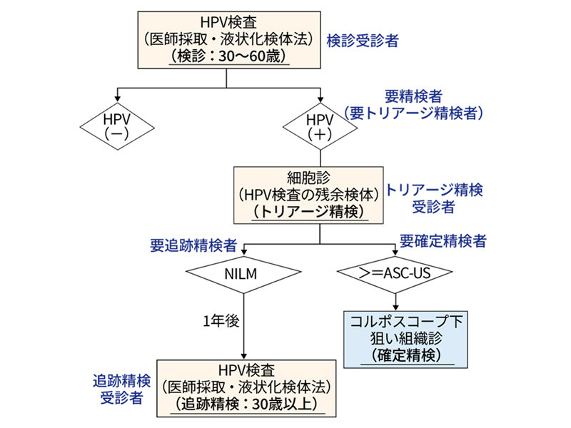HPV検査導入へ指針改正