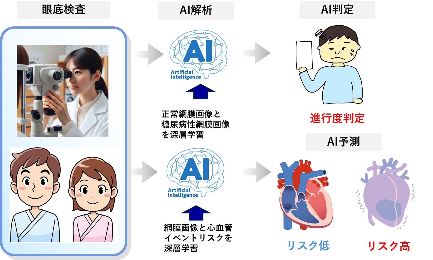 図：検診で心疾患の検査まで