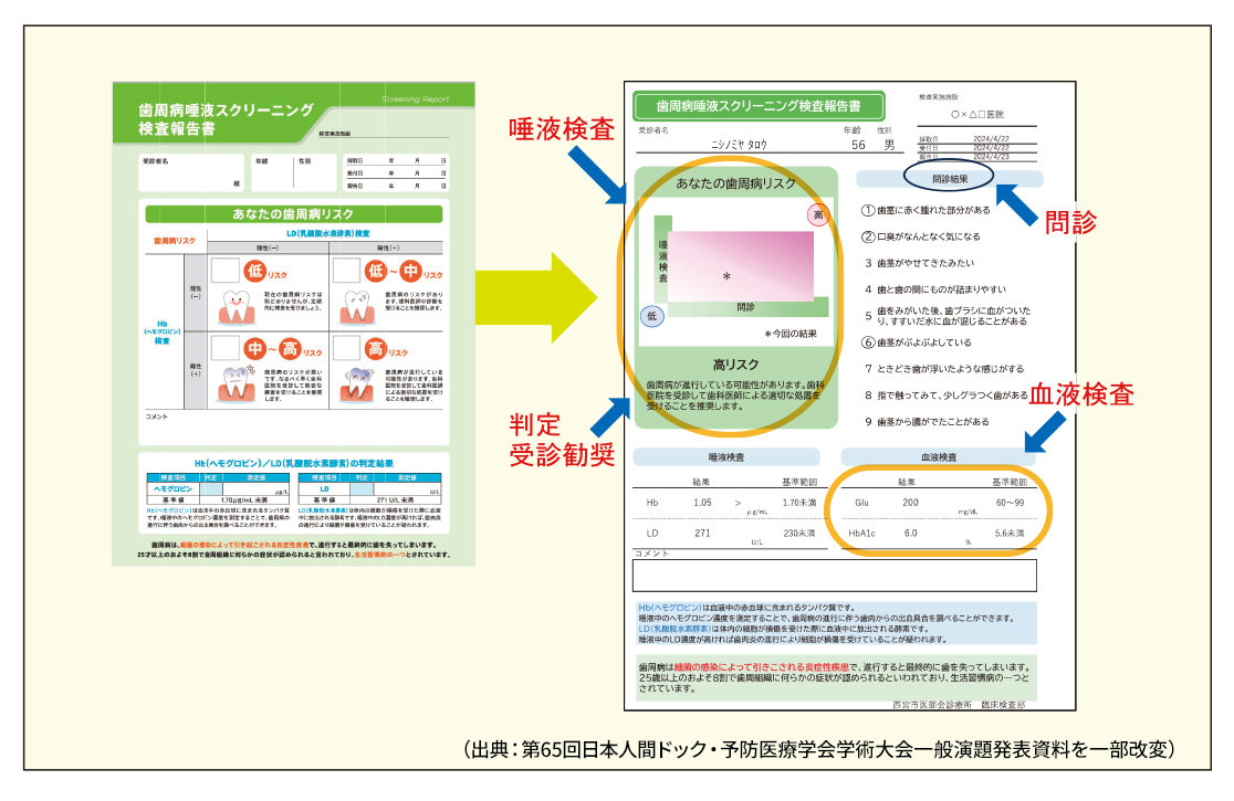 図1　報告書の改訂