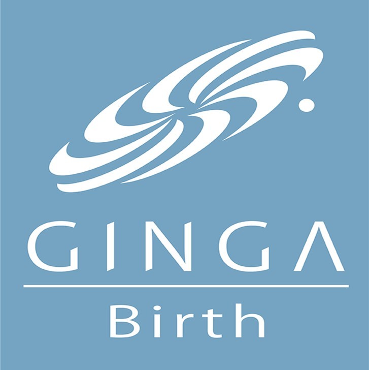 臨床検査システム 『 GINGA Birth 』