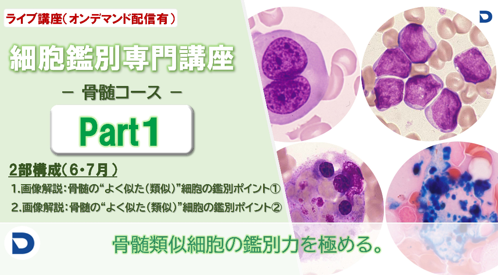 thumb-1